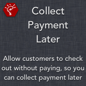Collect Payment Later